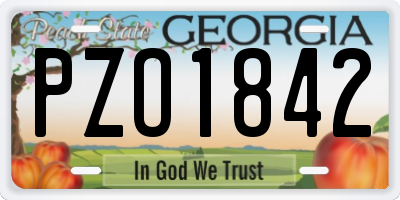 GA license plate PZO1842