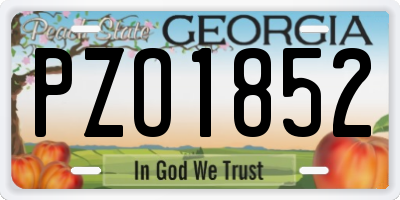 GA license plate PZO1852