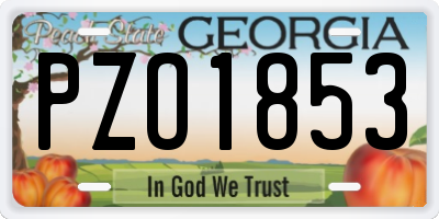 GA license plate PZO1853