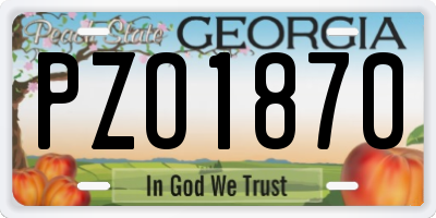 GA license plate PZO1870