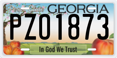 GA license plate PZO1873