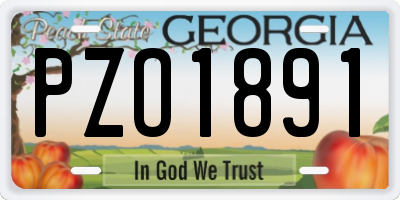 GA license plate PZO1891