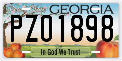 GA license plate PZO1898