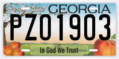 GA license plate PZO1903