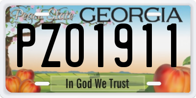 GA license plate PZO1911