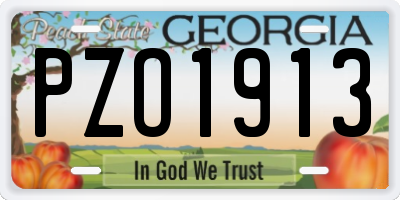 GA license plate PZO1913