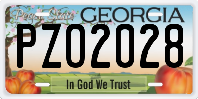 GA license plate PZO2028