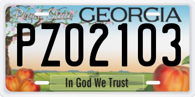 GA license plate PZO2103