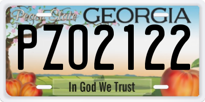 GA license plate PZO2122
