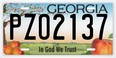 GA license plate PZO2137