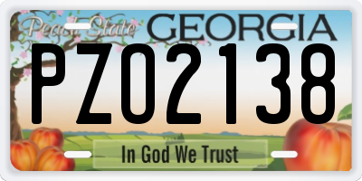 GA license plate PZO2138