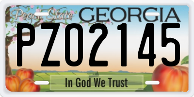 GA license plate PZO2145