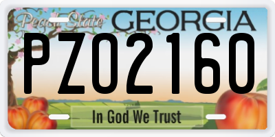 GA license plate PZO2160