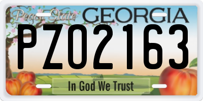 GA license plate PZO2163