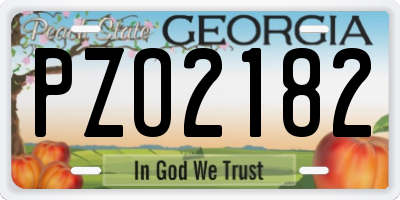 GA license plate PZO2182