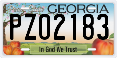 GA license plate PZO2183