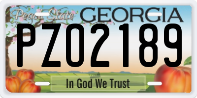 GA license plate PZO2189