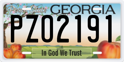 GA license plate PZO2191