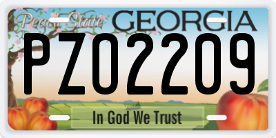 GA license plate PZO2209