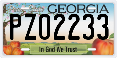 GA license plate PZO2233