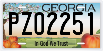 GA license plate PZO2251