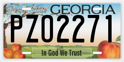 GA license plate PZO2271