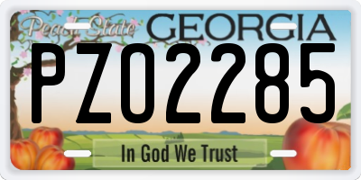 GA license plate PZO2285
