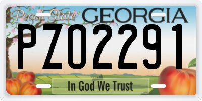 GA license plate PZO2291