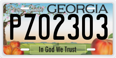 GA license plate PZO2303