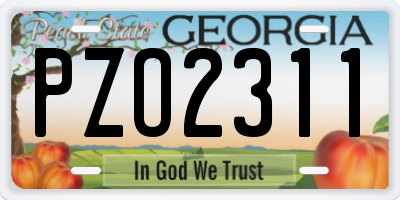 GA license plate PZO2311