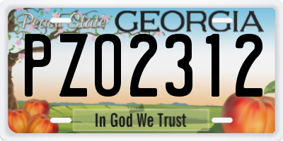 GA license plate PZO2312