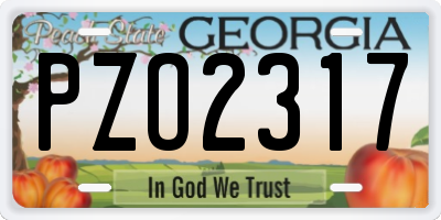 GA license plate PZO2317