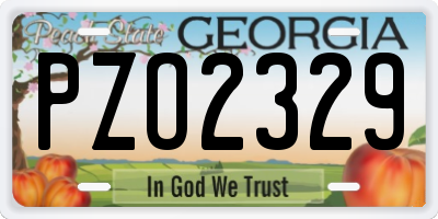 GA license plate PZO2329