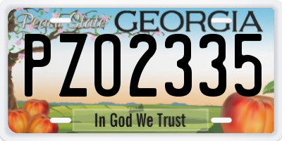GA license plate PZO2335