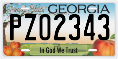 GA license plate PZO2343