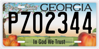 GA license plate PZO2344