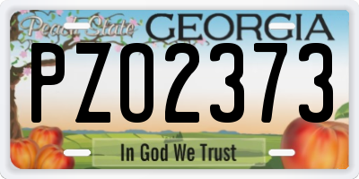 GA license plate PZO2373