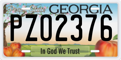 GA license plate PZO2376
