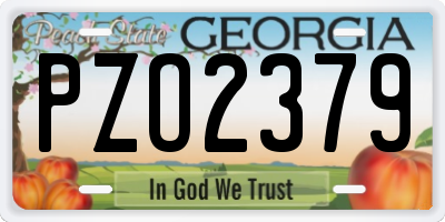 GA license plate PZO2379