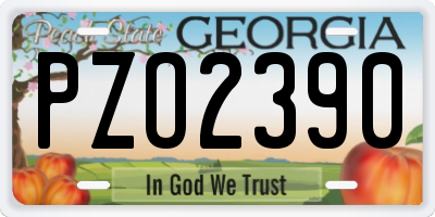 GA license plate PZO2390