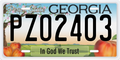 GA license plate PZO2403
