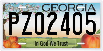 GA license plate PZO2405