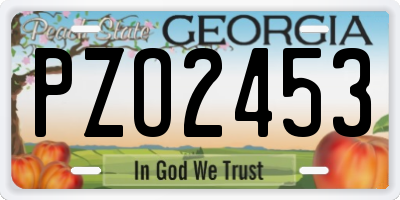 GA license plate PZO2453