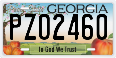 GA license plate PZO2460