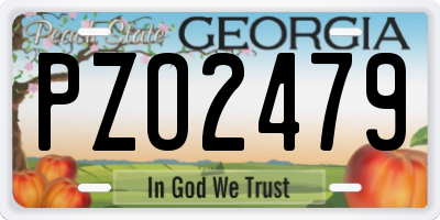 GA license plate PZO2479