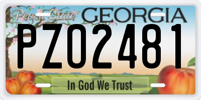 GA license plate PZO2481