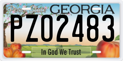 GA license plate PZO2483