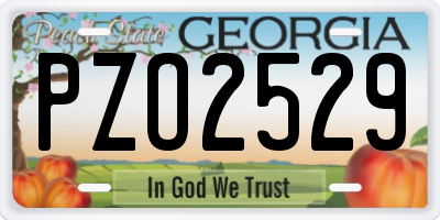 GA license plate PZO2529