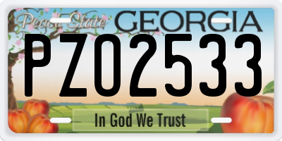 GA license plate PZO2533