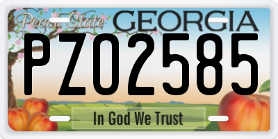 GA license plate PZO2585